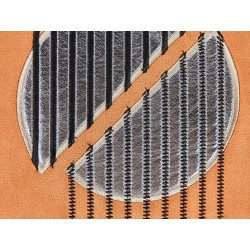 Zestaw 2 poduszek dekoracyjnych CEROPEGIA Welur 45 x 45 cm Pomarańczowy Wzór geometryczny