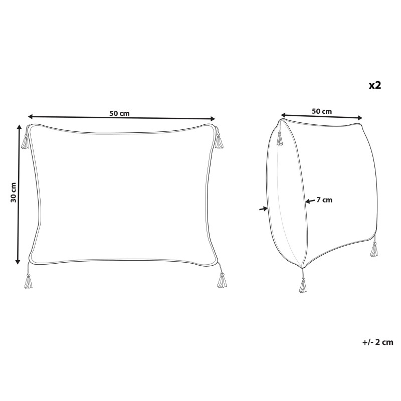 Zestaw 2 poduszek dekoracyjnych SCHEFFLERA Welur 30 x 50 cm Biały Wzór geometryczny