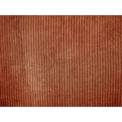 Zestaw 2 poduszek dekoracyjnych ZINNIA Sztruks 47 x 27 cm Złoty brąz Jednolity