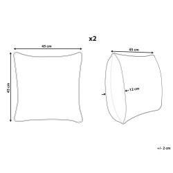 Zestaw 2 poduszek dekoracyjnych MEADOWFOAM Bawełna 45 x 45 cm Biały Wzór abstrakcyjny