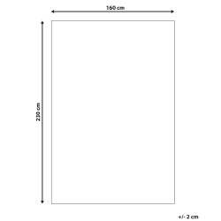 Dywan wełniany 160 x 230 cm beżowo-brązowy EZINE
