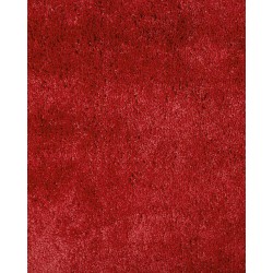 Dywan shaggy 140 x 200 cm czerwony EVREN