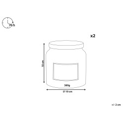Zestaw 2 świeczek zapachowych ABSOLUTE ALCHEMY Wosk sojowy Świeże nuty