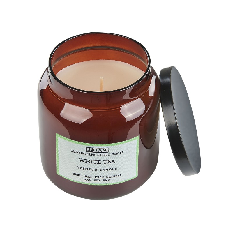 Zestaw 2 świeczek zapachowych ABSOLUTE ALCHEMY Wosk sojowy Świeże nuty