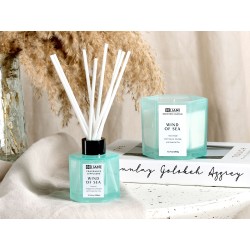 Świeczka zapachowa z patyczkami zapachowymi CLASSY TINT Wosk sojowy Świeże nuty