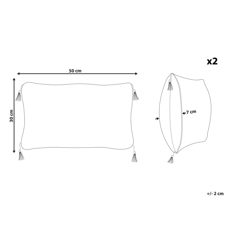 Zestaw 2 poduszek dekoracyjnych LIRIOPE 30 x 50 cm Czarny/ biały Wzór geometryczny