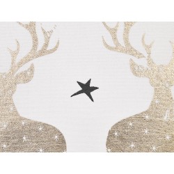 Zestaw 2 poduszek dekoracyjnych DONNER Bawełna 45 x 45 cm Biały Wzór świąteczny