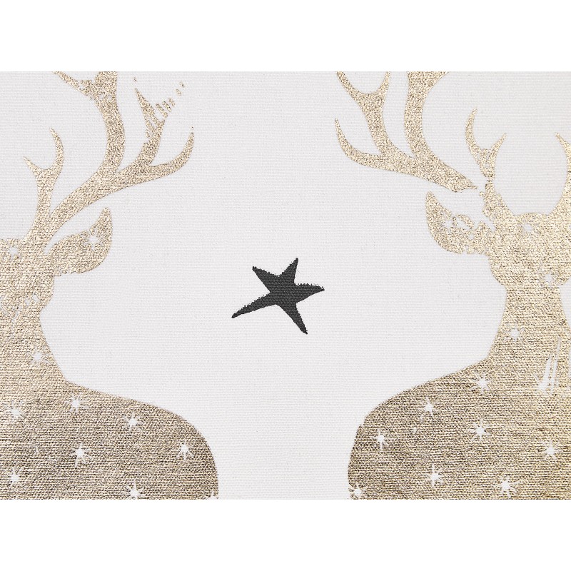 Zestaw 2 poduszek dekoracyjnych DONNER Bawełna 45 x 45 cm Biały Wzór świąteczny