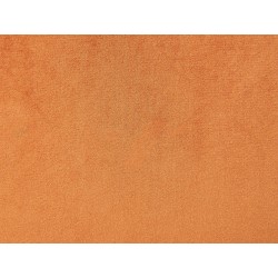 Zestaw 2 poduszek dekoracyjnych AERANGIS Welur 45 x 45 cm Pomarańczowy Jednolity