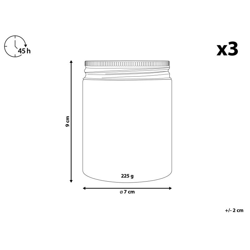 Zestaw 3 świeczek zapachowych FRUITY BLOOM Wosk sojowy Nuty owocowe