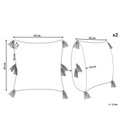 Zestaw 2 poduszek dekoracyjnych AVIUM Bawełna 45 x 45 cm Jasnobeżowy Wzór geometryczny