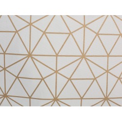 Zestaw 2 poduszek dekoracyjnych SEDUM Bawełna 45 x 45 cm Biały Złoty Wzór geometryczny