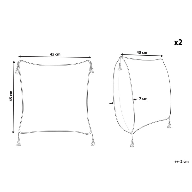 Zestaw 2 poduszek dekoracyjnych SCHEFFLERA Welur 45 x 45 cm Biały Wzór geometryczny