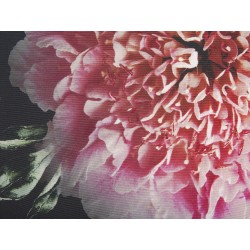 Zestaw 2 poduszek dekoracyjnych HEDERA 45 x 45 cm Czarny Wzór kwiatowy