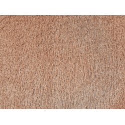 Zestaw 2 poduszek dekoracyjnych ACHILLEA Sztuczne futro 54 x 54 cm Beżowy Jednolity