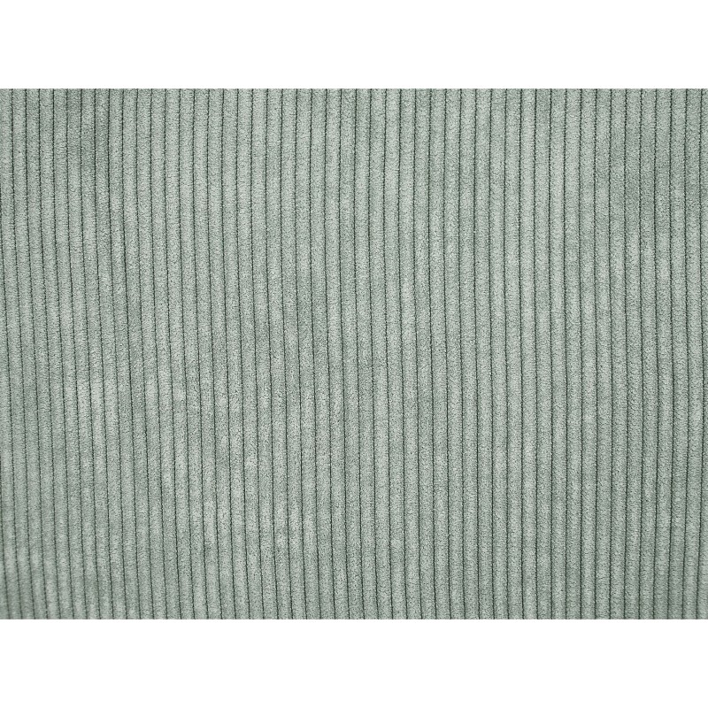 Zestaw 2 poduszek dekoracyjnych ZINNIA Sztruks 47 x 27 cm Jasnozielony Jednolity