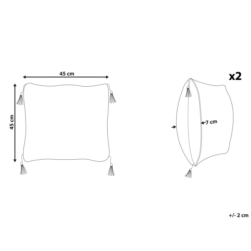 Zestaw 2 poduszek dekoracyjnych LIRIOPE 45 x 45 cm Czarny/ biały Wzór geometryczny