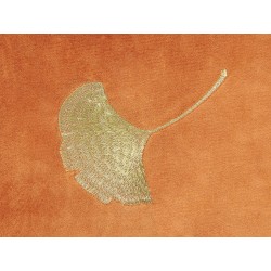 Zestaw 2 poduszek dekoracyjnych TULIP Welur 45 x 45 cm Pomarańczowy Wzór roślinny