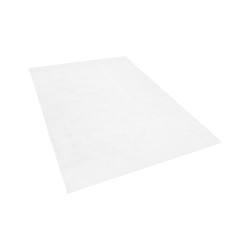 Dywan shaggy 200 x 300 cm biały DEMRE