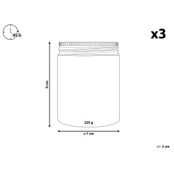 Zestaw 3 świeczek zapachowych FRUITY BLOOM Wosk sojowy Świeże nuty Nuty kwiatowe