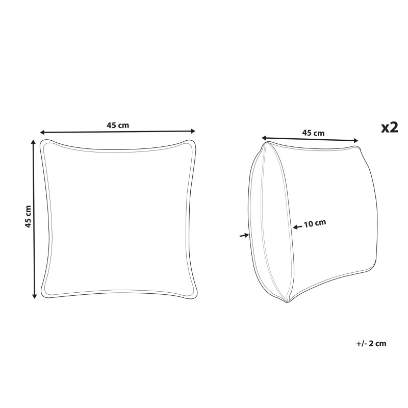 Zestaw 2 poduszek dekoracyjnych TRITELEIA Welur 45 x 45 cm Różowy Wzór kwiatowy