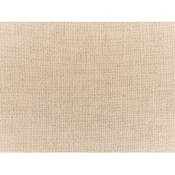 Zestaw 2 poduszek dekoracyjnych GUZMANIA 45 x 45 cm Beżowy Jednolity