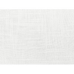 Zestaw 2 poduszek dekoracyjnych BANORI Len 30 x 50 cm Biały Jednolity