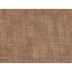 Zestaw 2 poduszek dekoracyjnych IANTHE Bawełna 45 x 45 cm Brązowy Jednolity