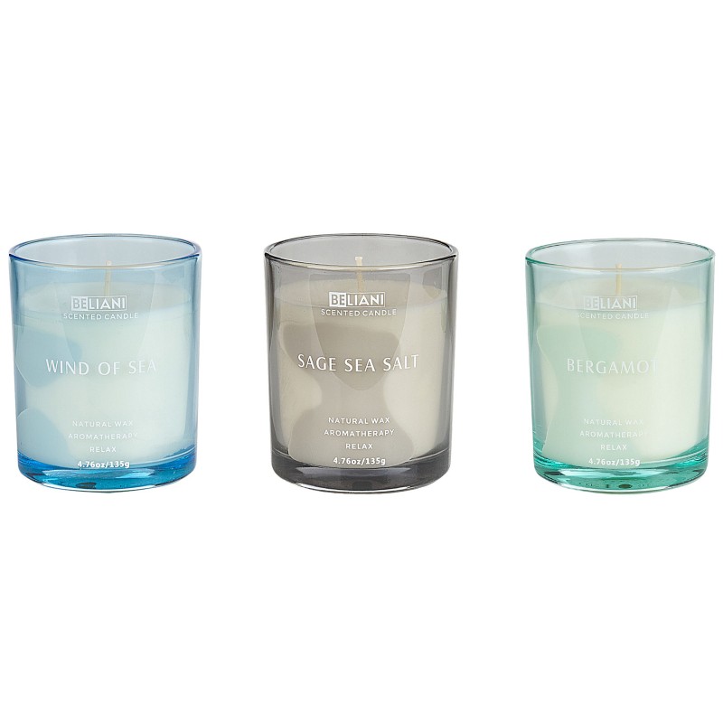 Zestaw 3 świeczek zapachowych SHEER JOY Wosk sojowy Świeże nuty