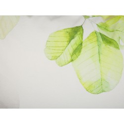 Poduszka dekoracyjna PEPEROMIA Bawełna 45 x 45 cm Biały Wzór roślinny