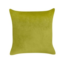 Zestaw 2 poduszek dekoracyjnych YUZURI Welur 45 x 45 cm Jasnozielony Wzór zwierzęcy