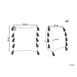 Zestaw 2 poduszek dekoracyjnych BOUVARDIA Bawełna 45 x 45 cm Szary Wzór zygzak