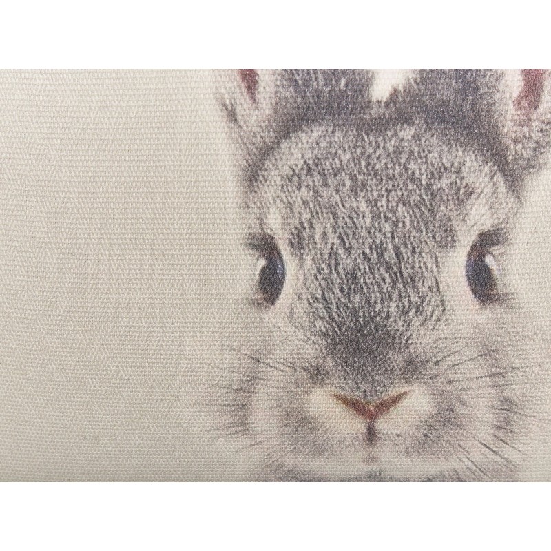 Zestaw 2 poduszek dekoracyjnych QUERCUS 45 x 45 cm Beżowoszary Wzór zwierzęcy