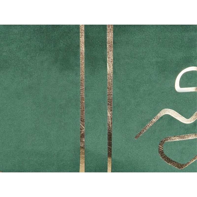 Zestaw 2 poduszek dekoracyjnych PHILODENDRON Welur 45 x 45 cm Szmaragdowy Wzór abstrakcyjny