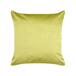 Zestaw 2 poduszek dekoracyjnych DELICIOSA Welur 45 x 45 cm Jasnozielony Wzór roślinny