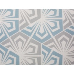 Zestaw 2 poduszek dekoracyjnych PRIMROSE 45 x 45 cm Błękitny Ikat