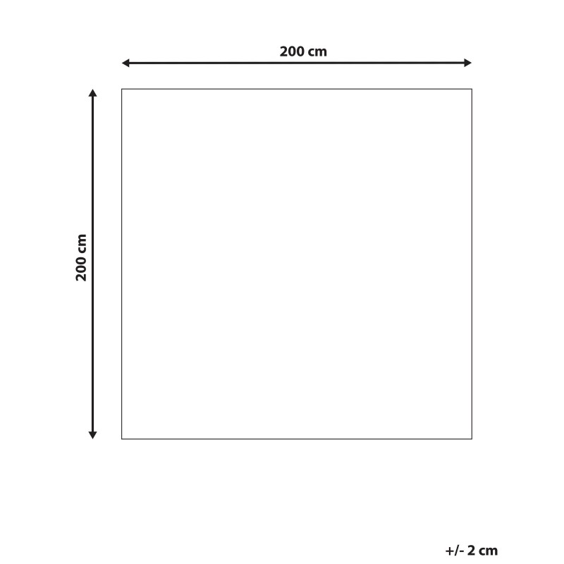 Dywan wełniany z motywem roślinnym 200 x 200 cm VIZE