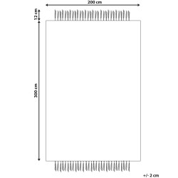 Dywan z juty 200 x 300 cm beżowy DEDEMLI