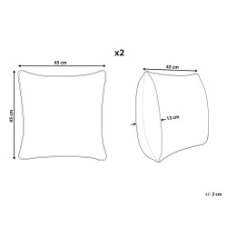 Zestaw 2 poduszek dekoracyjnych DICHONDRA Welur 45 x 45 cm Kolorowy Wzór kwiatowy