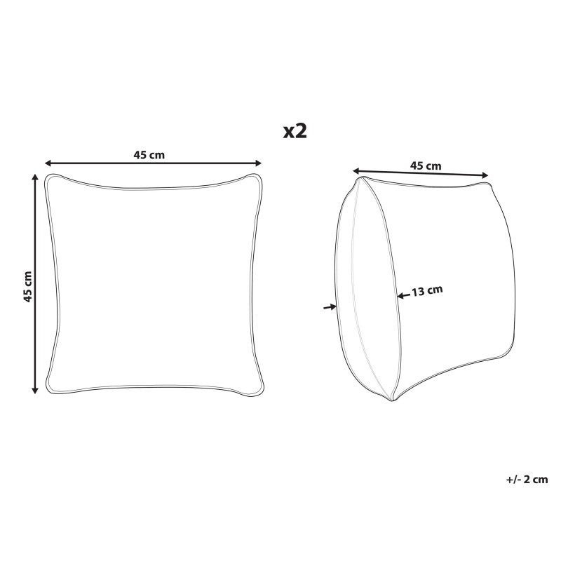 Zestaw 2 poduszek dekoracyjnych DICHONDRA Welur 45 x 45 cm Kolorowy Wzór kwiatowy