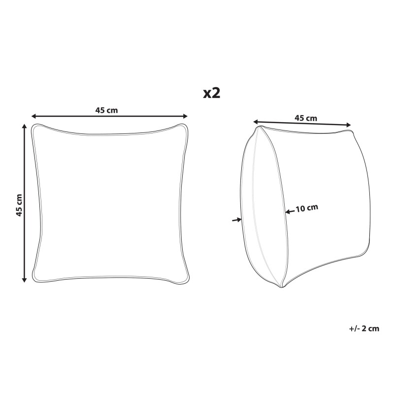 Zestaw 2 poduszek dekoracyjnych TOADFLAX Welur 45 x 45 cm Zielony Czarny Wzór roślinny