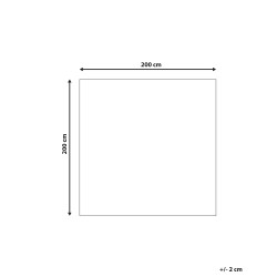 Dywan wełniany 200 x 200 cm beżowy LAPSEKI