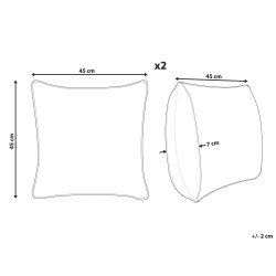 Zestaw 2 poduszek dekoracyjnych AECHMEA Bawełna 45 x 45 cm Szary Wzór świąteczny
