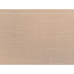 Zestaw 2 poduszek dekoracyjnych BANORI Len 30 x 50 cm Beżowy Jednolity