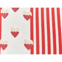 Zestaw 2 poduszek dekoracyjnych BANKSIA Bawełna 45 x 45 cm Czerwony W paski
