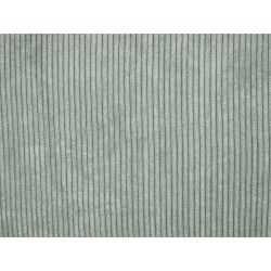 Zestaw 2 poduszek dekoracyjnych ZINNIA Sztruks 43 x 43 cm Jasnozielony Jednolity