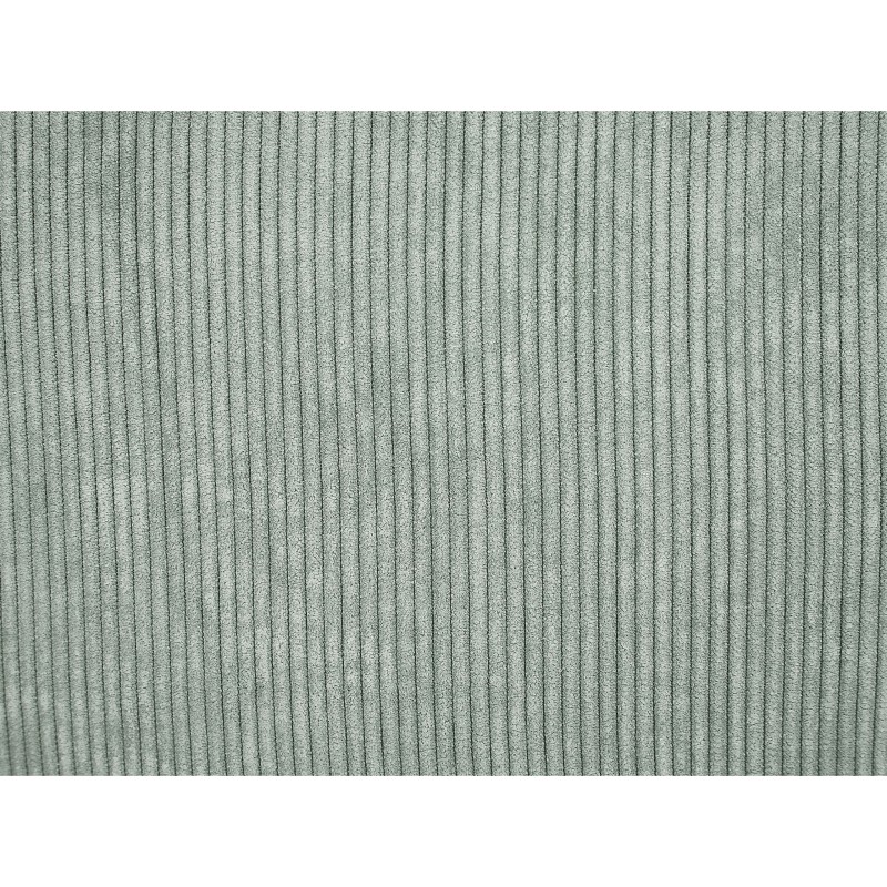 Zestaw 2 poduszek dekoracyjnych ZINNIA Sztruks 43 x 43 cm Jasnozielony Jednolity