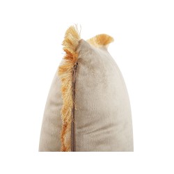 Zestaw 2 poduszek dekoracyjnych POTHOS Welur 45 x 45 cm Beżowy Jednolity