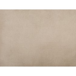 Zestaw 2 poduszek dekoracyjnych POTHOS Welur 45 x 45 cm Beżowy Jednolity