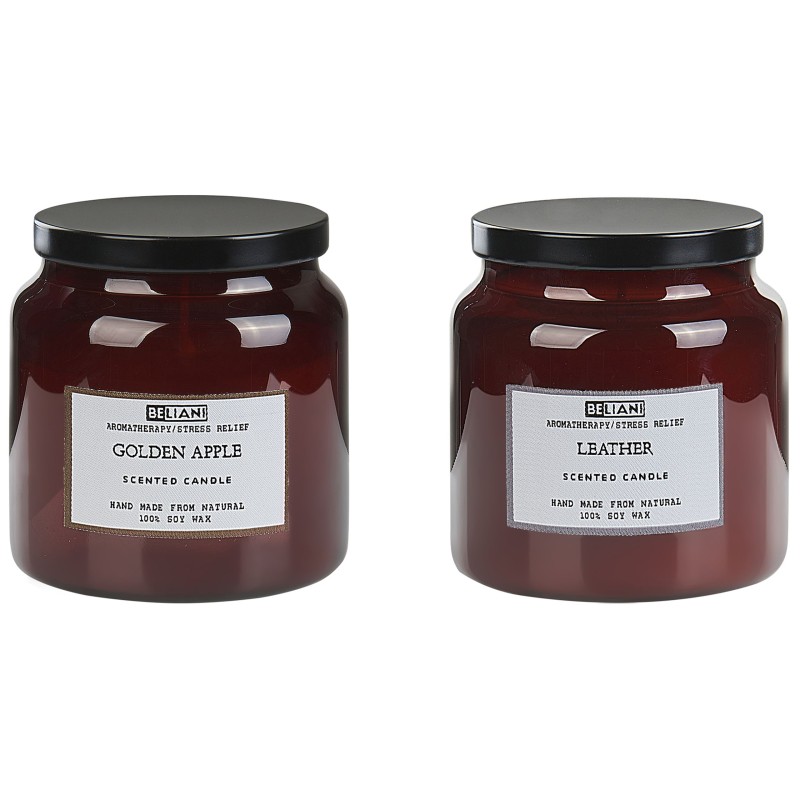 Zestaw 2 świeczek zapachowych ABSOLUTE ALCHEMY Wosk sojowy Nuty owocowe Świeże nuty